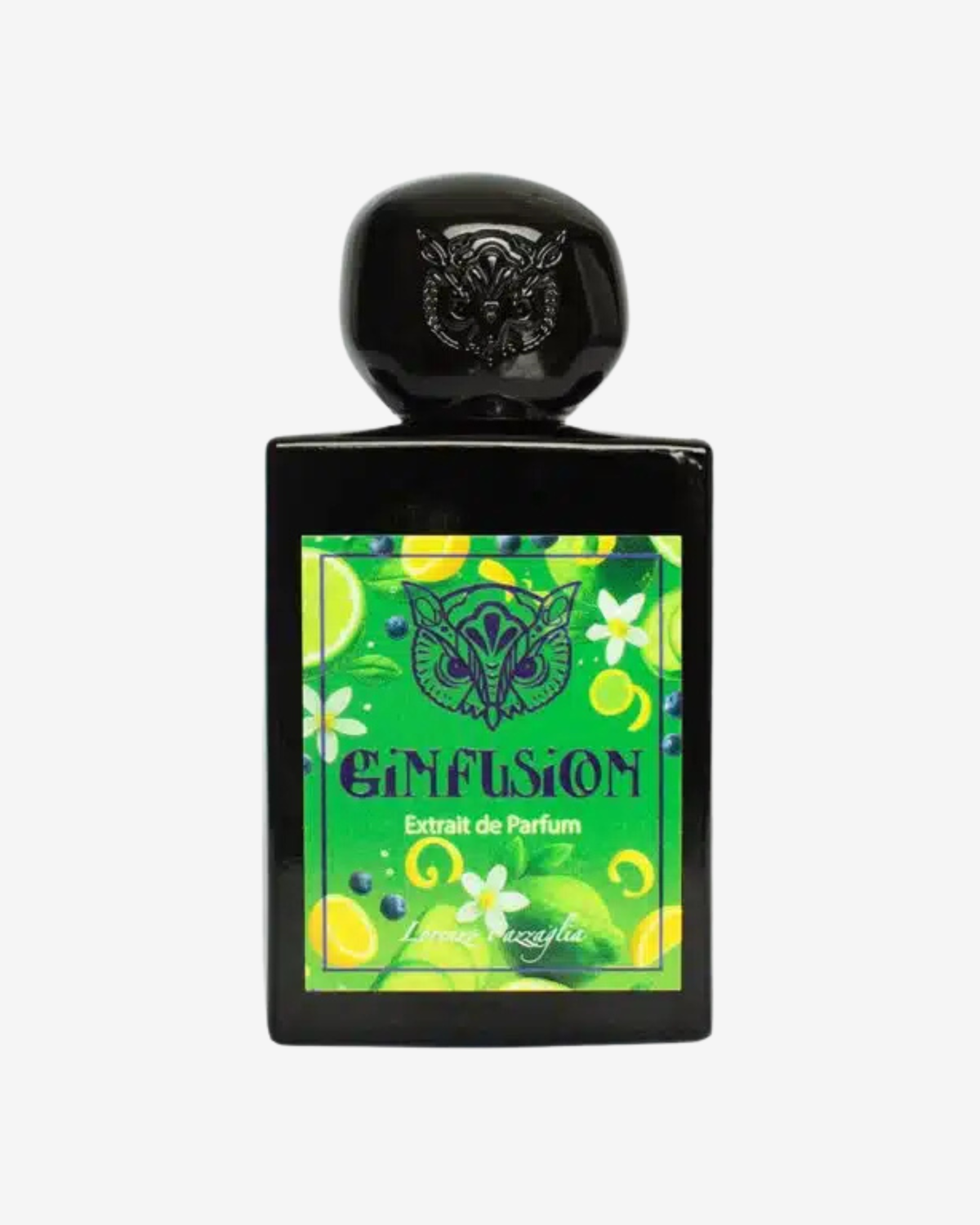 Ginfusion Extrait 50ml