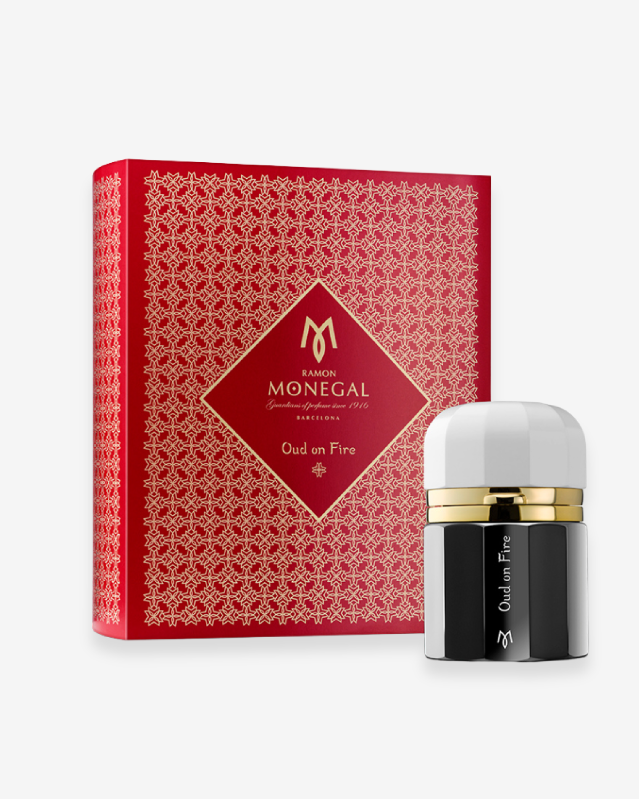 Oud on Fire Parfum (50ml)
